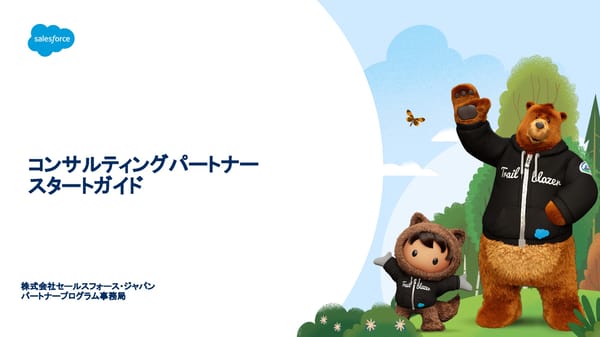 FY26 Starting a Consulting Partner - Page 1