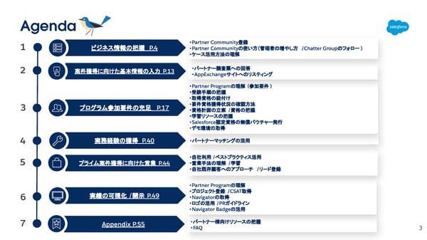 FY26 Starting a Consulting Partner - Page 3