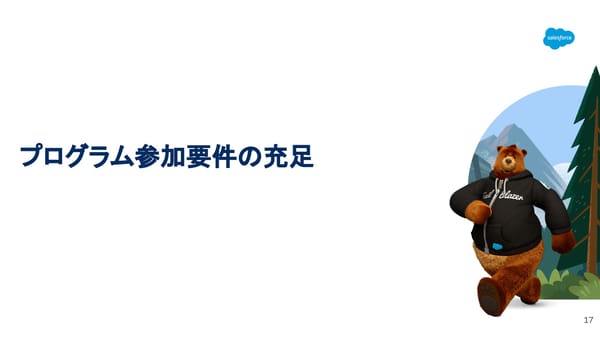 FY26 Starting a Consulting Partner - Page 17