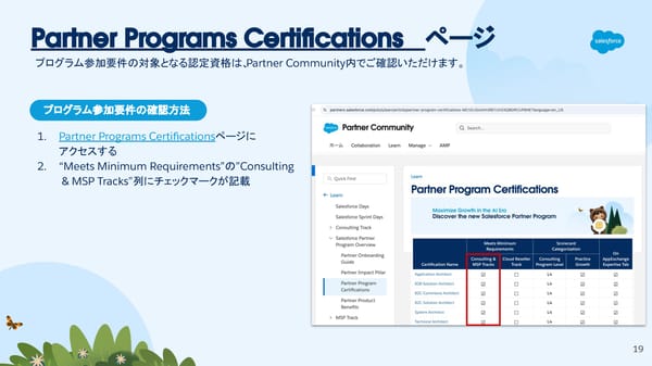 FY26 Starting a Consulting Partner - Page 19