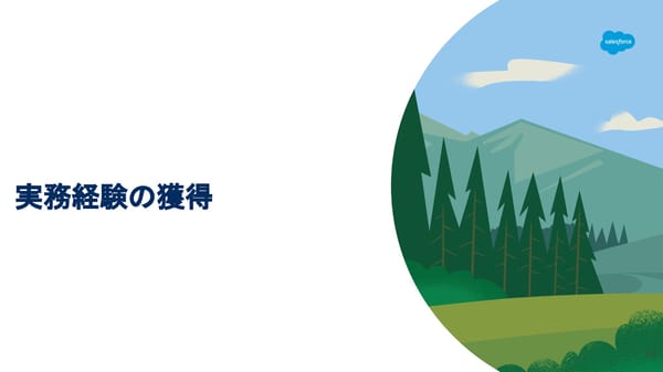 FY26 Starting a Consulting Partner - Page 40